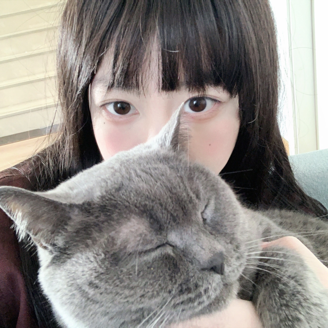 成人羞羞网站免费观看入口